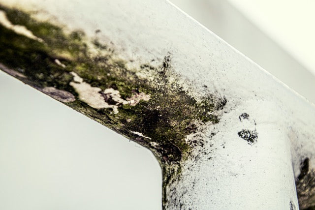 Mould Prevention in Rental Properties: The Benefits of Single-Room Heat Recovery Units