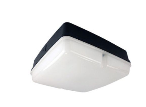 WHIRLOW LED Square Amenity Light IP65