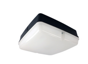 WHIRLOW LED Square Amenity Light IP65