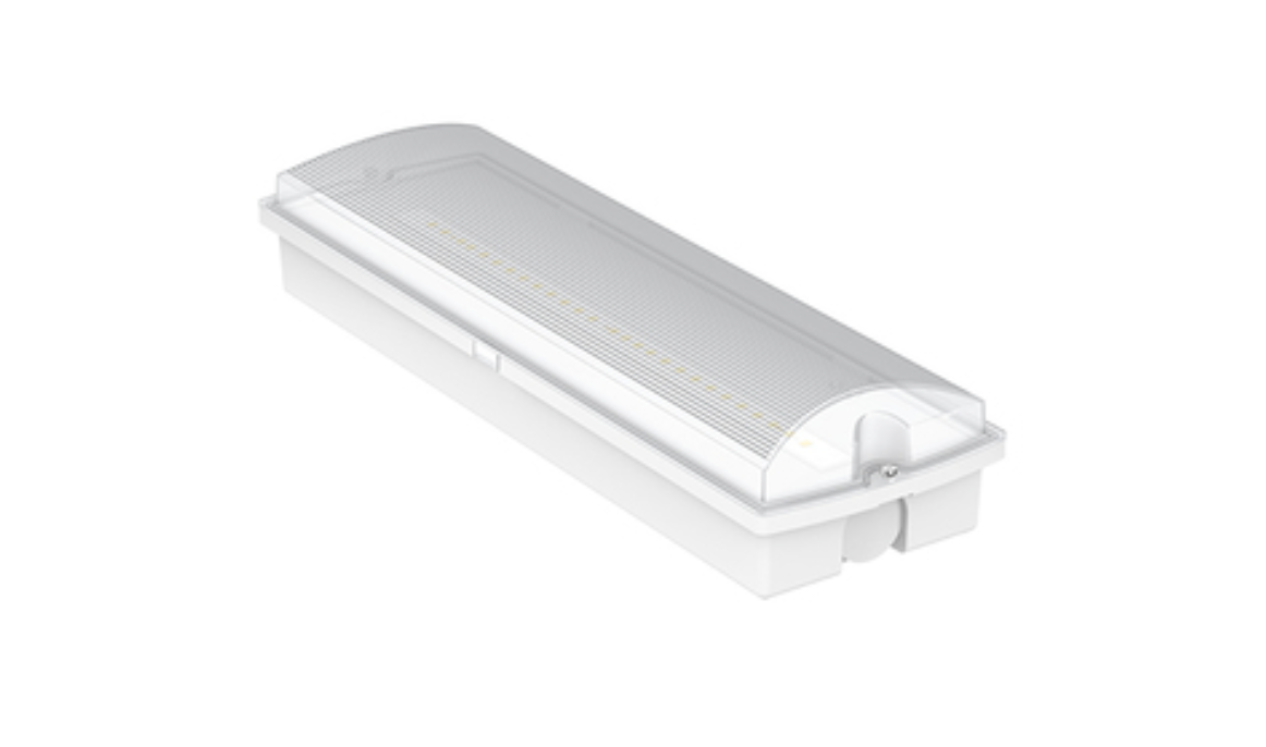 RIVELIN Dali Emergency Bulkhead, IP65, Maintained / Non-maintained, LiFePO5